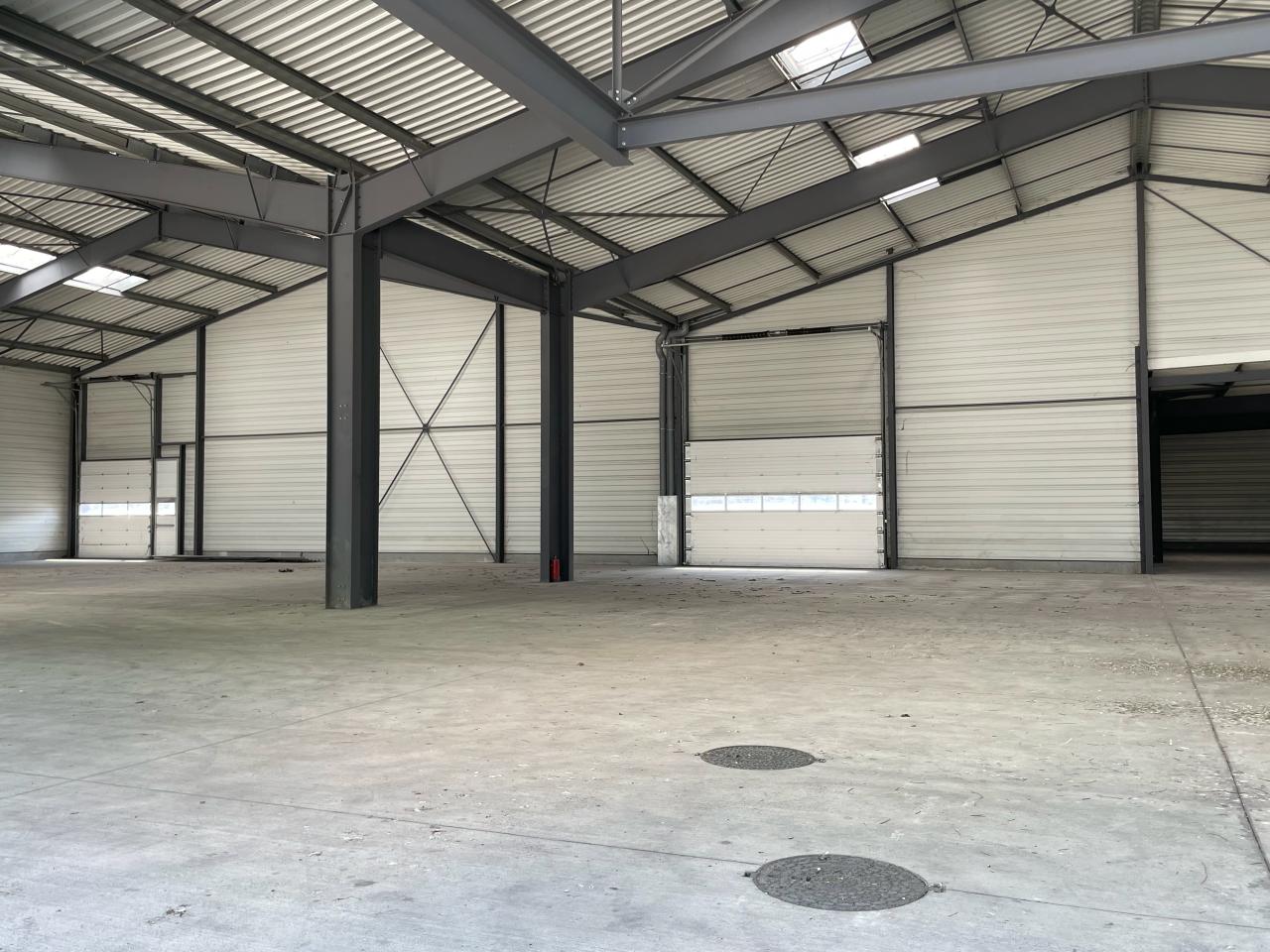 Local d'activité Cormeilles-en-Parisis 5540m² Location local d'activité Cormeilles-en-Parisis Val-d'Oise OLACT2424489 6